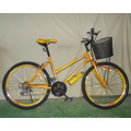 Gute Qualität 18sp Mountainbike Frau Fahrrad (FP-LDB-028)